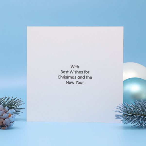 Sparkly Robin Charity Christmas Cards - Image 2